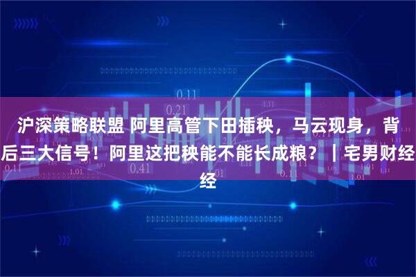 沪深策略联盟 阿里高管下田插秧，马云现身，背后三大信号！阿里这把秧能不能长成粮？｜宅男财经